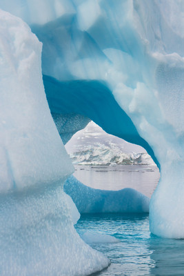Iceberg blues