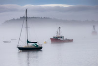 Foggy Lubec Harbor