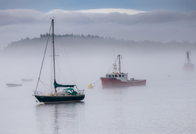 Foggy Lubec Harbor