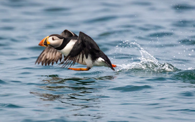 Running on Water