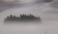 A grey day