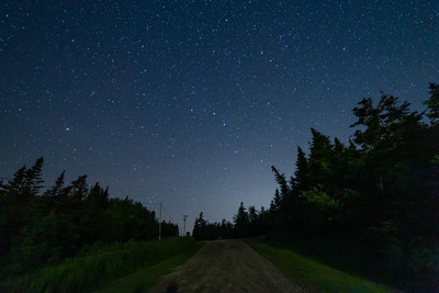 Stars and woods