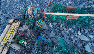 Old lobster cage