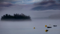 Foggy harbor