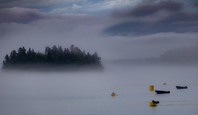 Foggy harbor