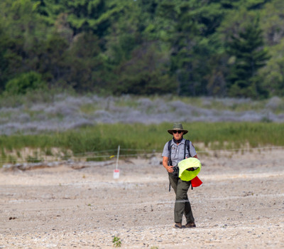 7. Chelsea_Loomis_hurries_to_capture_a_wild_chick_for_banding