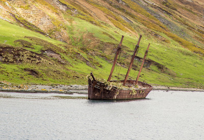 Shipwreck, Falkland Islands
