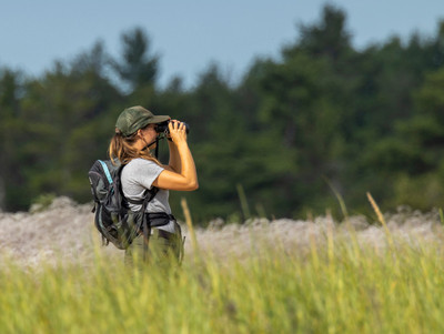 2. Tess_searching_for_chicks