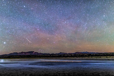 Snowgeese and Cranes under Stars at Bosque del Apache