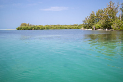 Lemon Bay FL