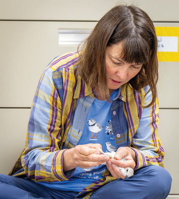 35.Biologist Stephanie bands a chick inside the Captive-Rearing Center