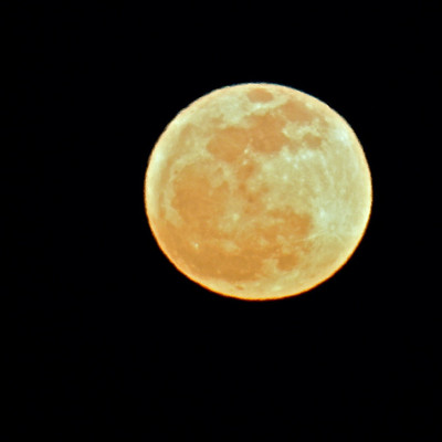 Full Moon, FL