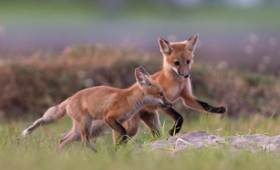 Kits exploring