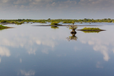 Mosquito Lagoon f/20