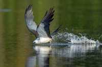 4.Kite skimming water