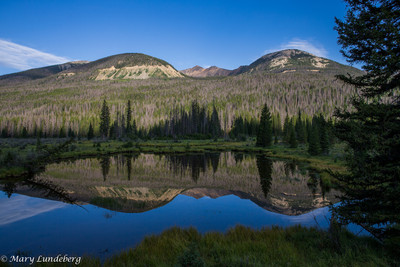 Beaver Pond, RMNP