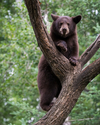 Climbing up in the world