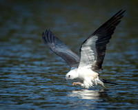 Kite using feet t lift off