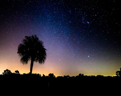 Stars in Englewood, Florida
