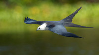 2.Kite turning with tail and wing tips