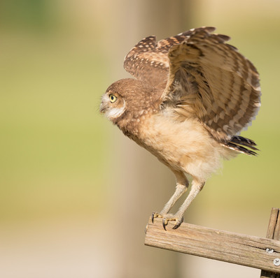 On_the_edge