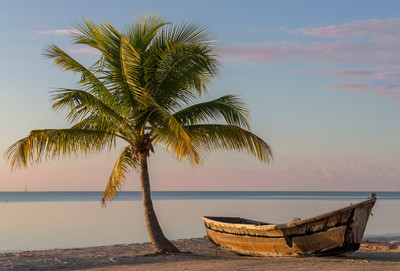Beached