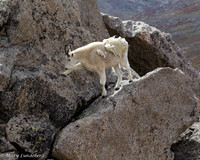 Climbing down