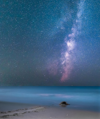 Milky Way Turtle
