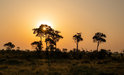 Sunrise in the Masai Mara