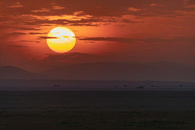 Sunrise in the Masai Mara