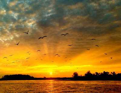 Dawn_on_Lemon_Bay