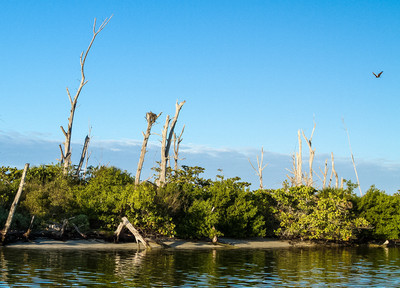 Stump viewed from Lemon Bay