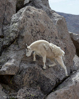 Climbing Carefully