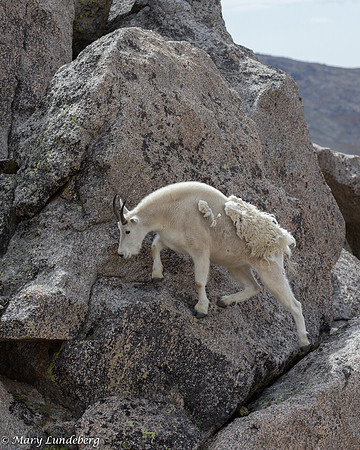 Climbing Carefully