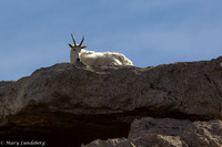 Sitting on Top of the World