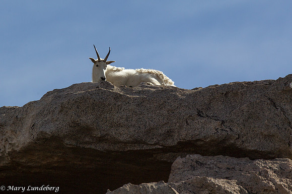 Sitting on Top of the World