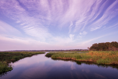 Morning at Myakka
