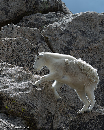 Climbing in