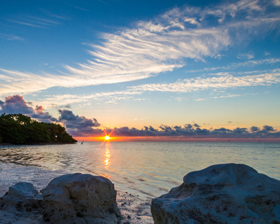 Sunrise with white heron
