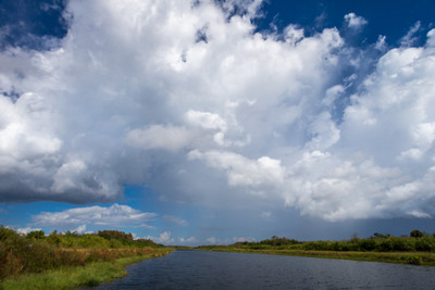 Everglades