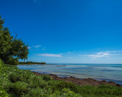 Bahia Honda Beach