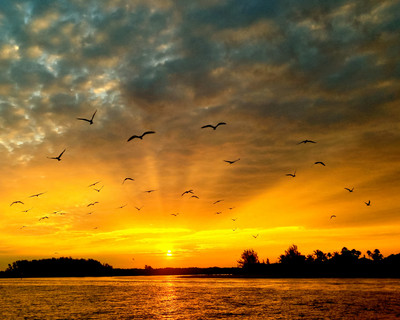 Dawn on Lemon Bay