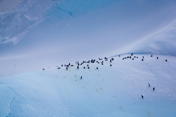 Adeles on Iceberg