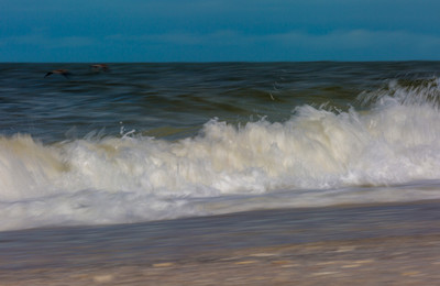 Waves and Pelicans